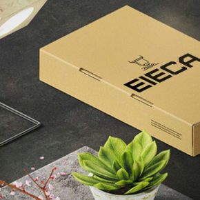 WhatsApp Image 2019-03-16 at 5.41.43 PM